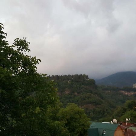 Hillside Orbeliani Residence Боржоми Екстериор снимка