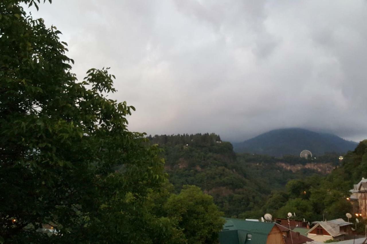 Hillside Orbeliani Residence Боржоми Екстериор снимка